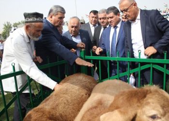 Дар шаҳри Ҳисор Фестивал-намоиши байналмилӣ ОИД БА ГӮСФАНДИ ЗОТИ ҲИСОРӢ ДОИР ШУД