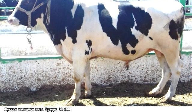 ЗОТИ АЛОИ ТОҶИКӢ