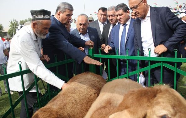 Дар шаҳри Ҳисор Фестивал-намоиши байналмилӣ ОИД БА ГӮСФАНДИ ЗОТИ ҲИСОРӢ ДОИР ШУД